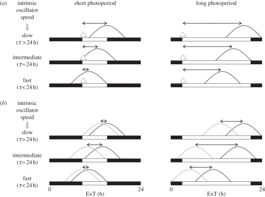 Figure 4.