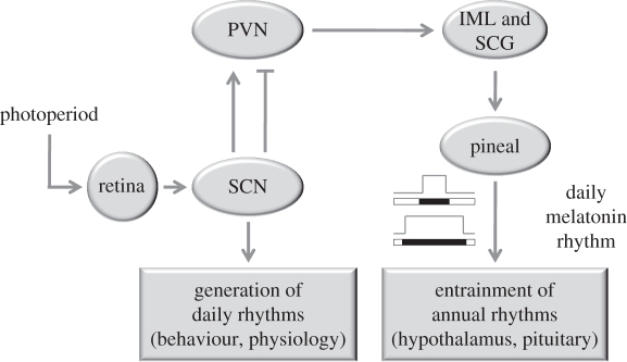 Figure 3.