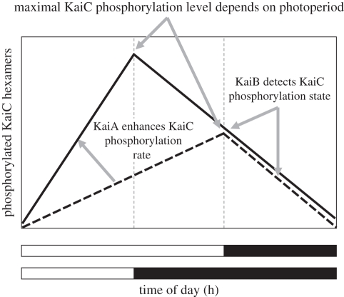 Figure 2.