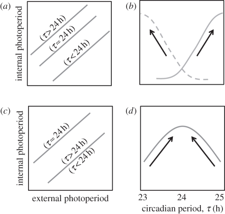 Figure 5.