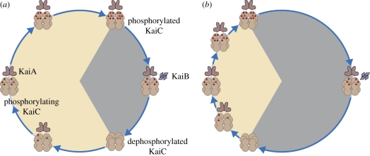 Figure 1.