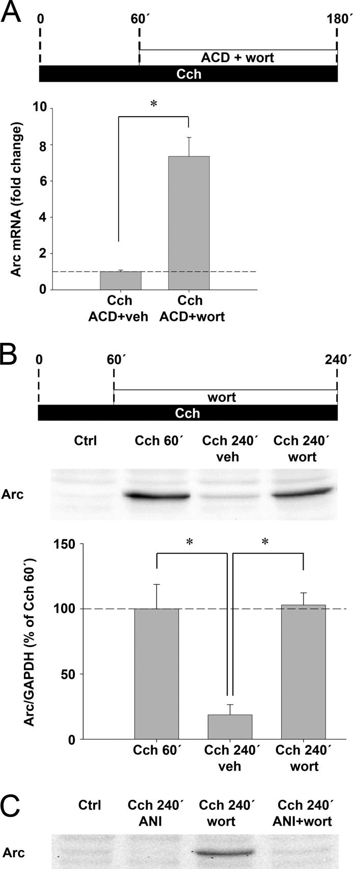 FIGURE 7.