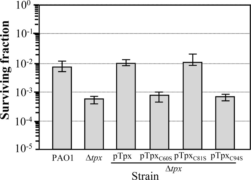 Fig 5