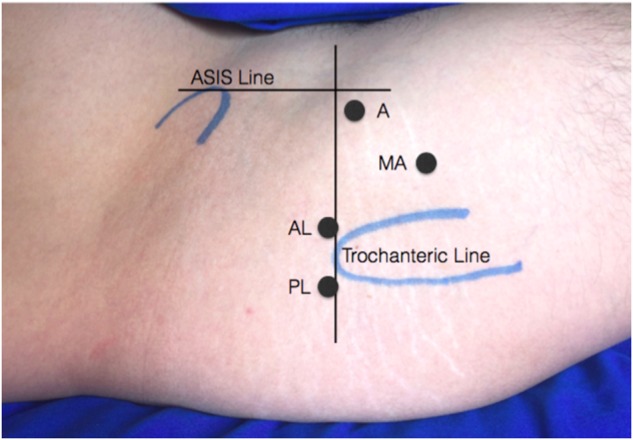 Fig. 3.