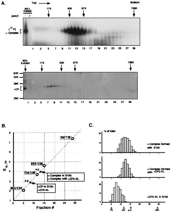 FIG. 8