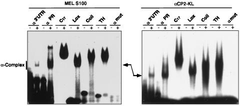 FIG. 5