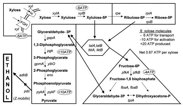 FIG. 1