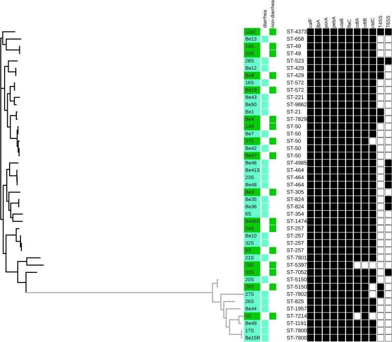 FIGURE 1