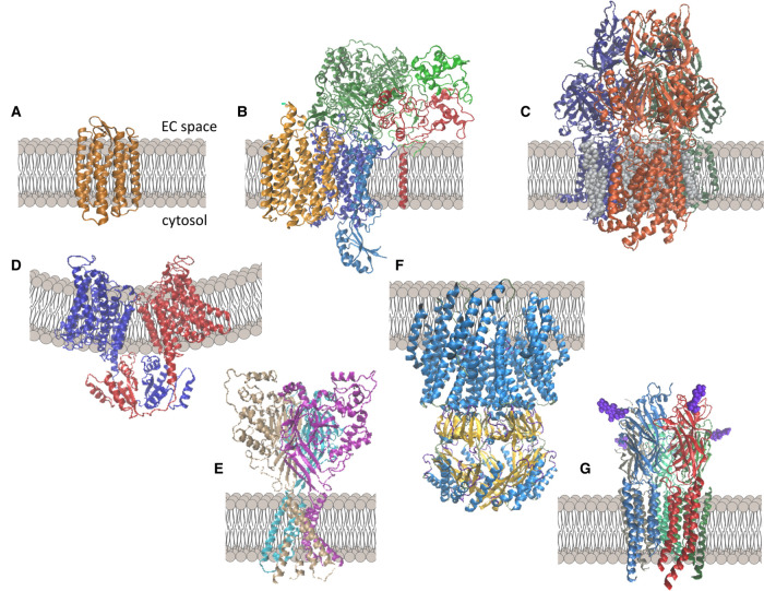 Figure 1.