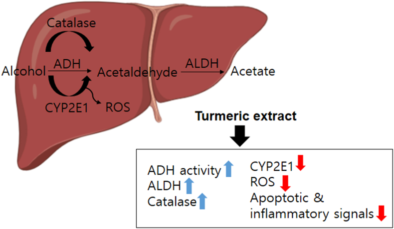 Figure 7