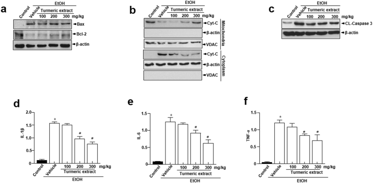 Figure 6