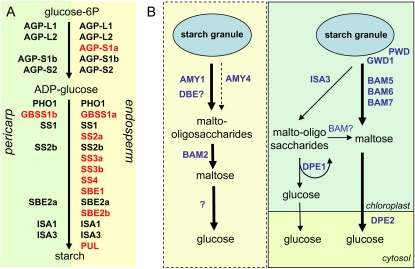 Figure 10.