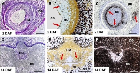 Figure 6.