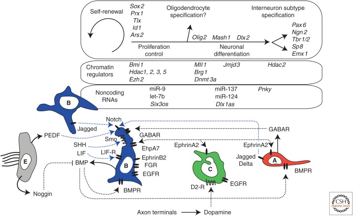 Figure 3.