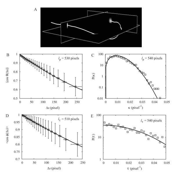 Fig. 8