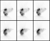 Figure 10: