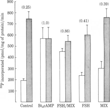 graphic file with name pnas00630-0100-a.jpg