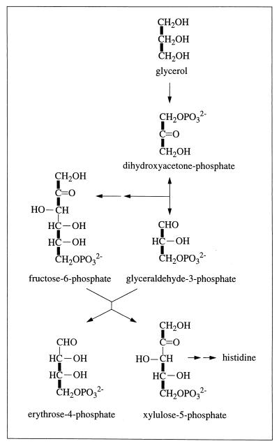 FIG. 1