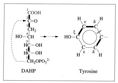 FIG. 8