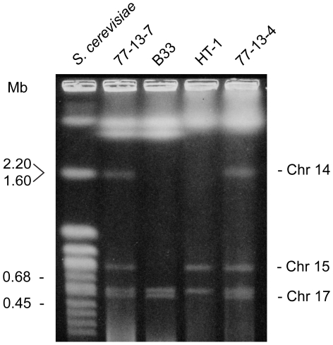 Figure 6