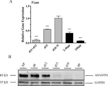 FIG. 9.