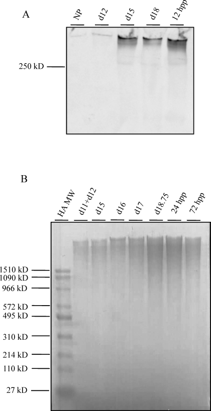 FIG. 7.