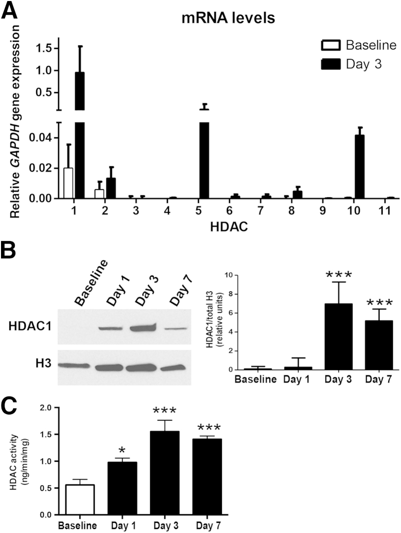 Figure 5