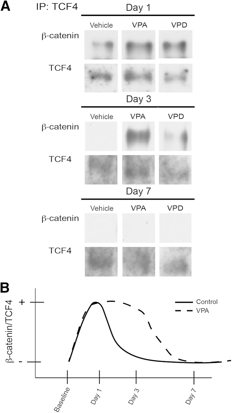 Figure 7