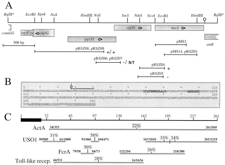 FIG. 1