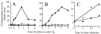 FIG. 6