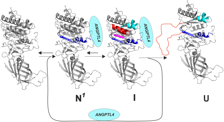 Fig. 4.