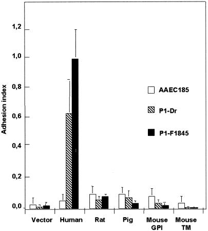 FIG. 1.