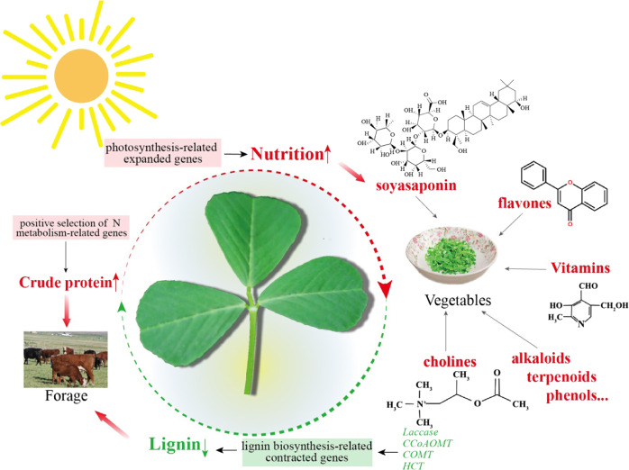 Fig. 6