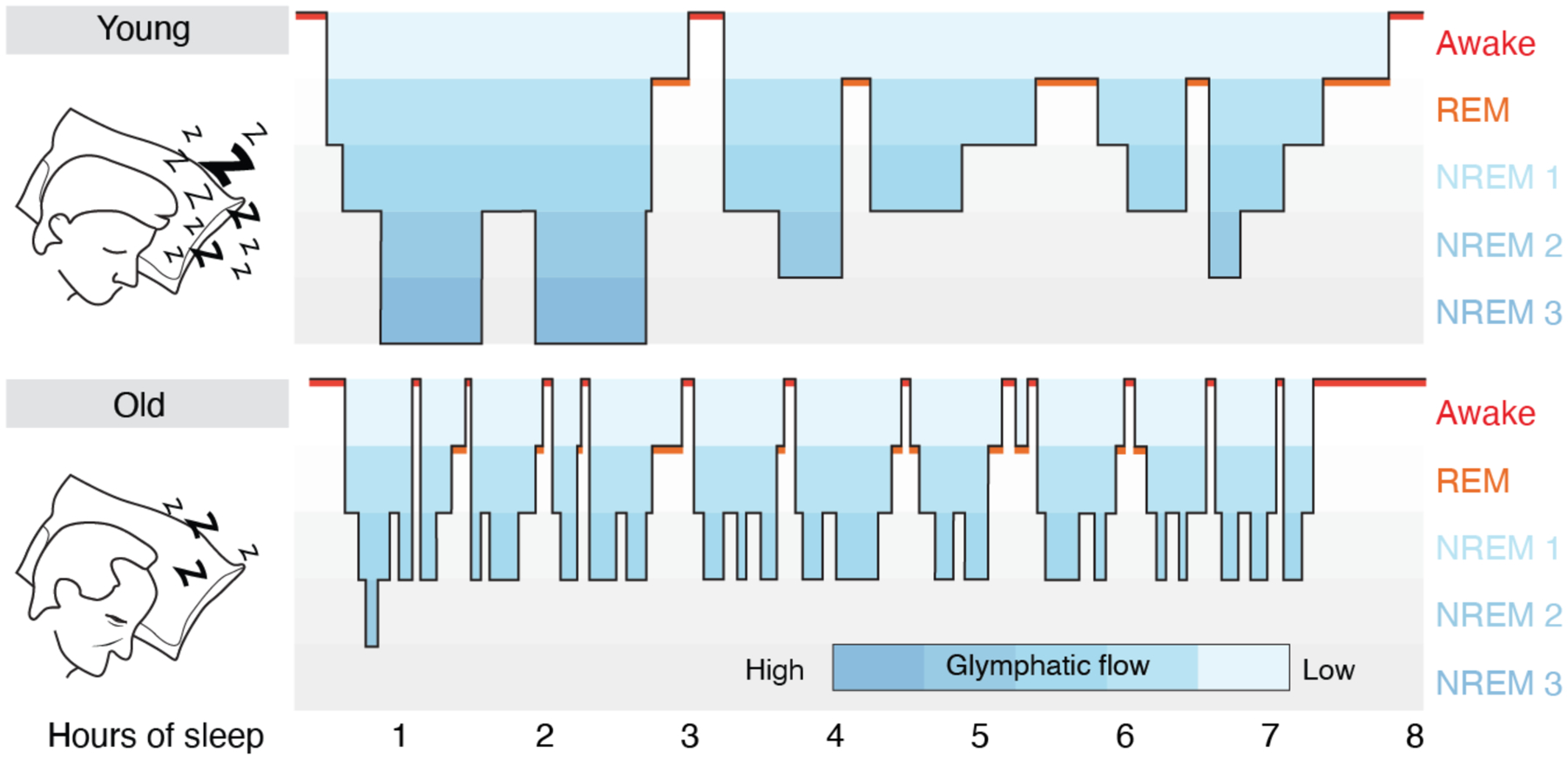 Fig. 2.