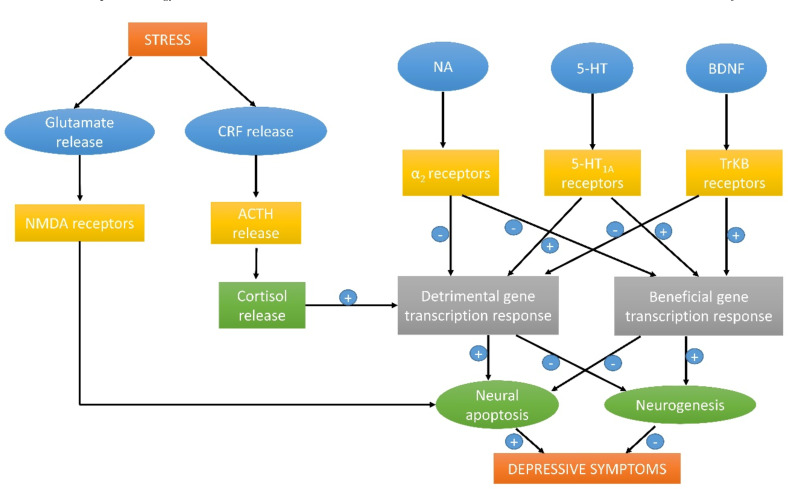 Fig. (3)