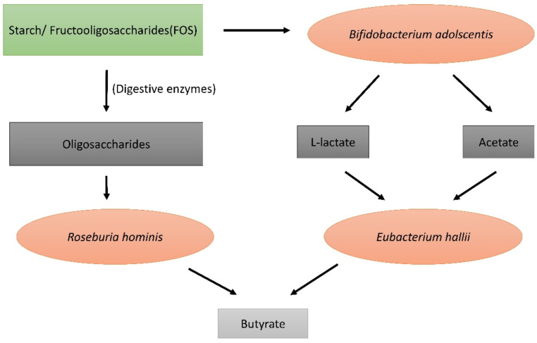 Fig. (1)