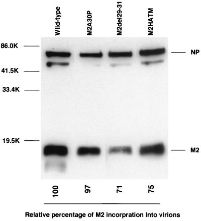 FIG. 7