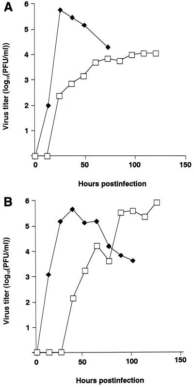 FIG. 6