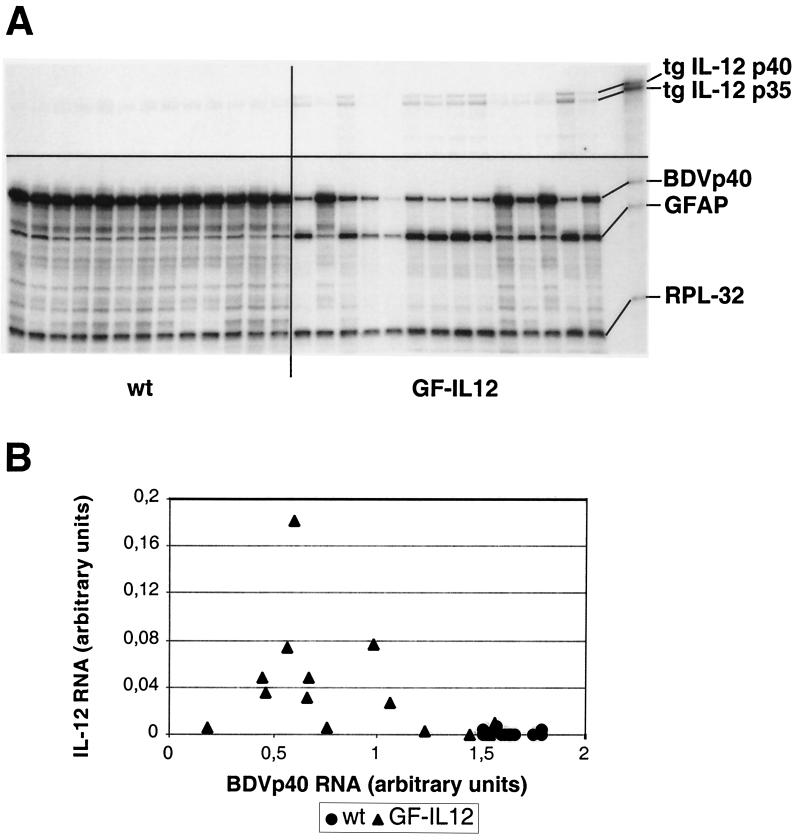 FIG. 6.