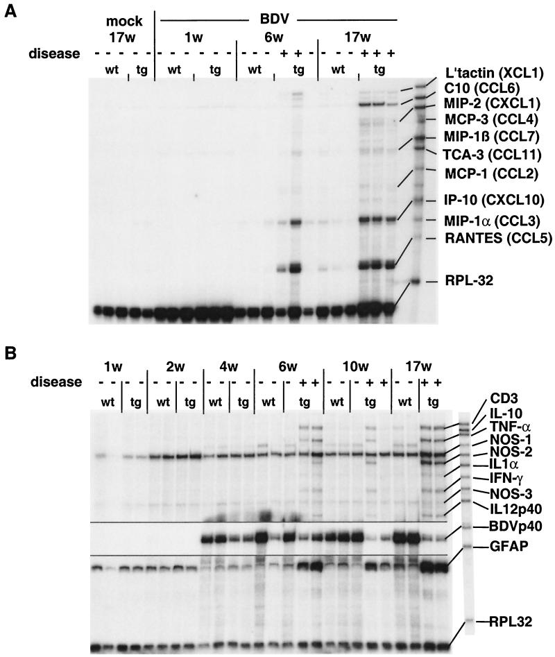 FIG. 3.