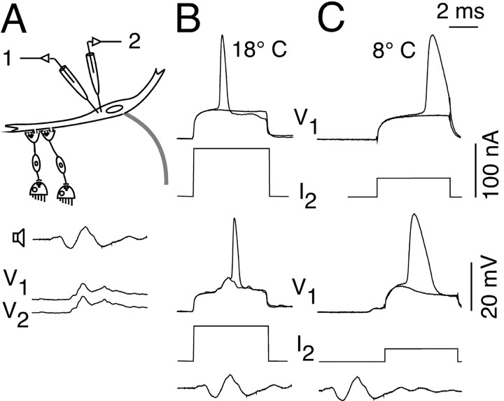 Figure 9.