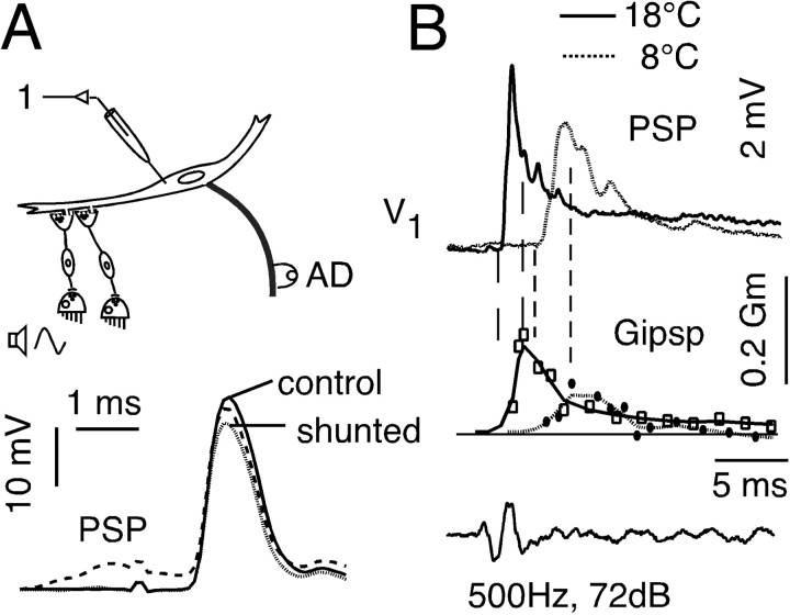 Figure 10.