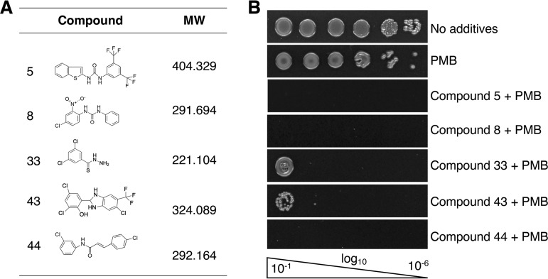 FIG 2