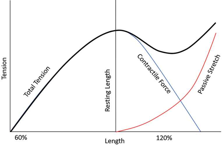 Fig. 2﻿