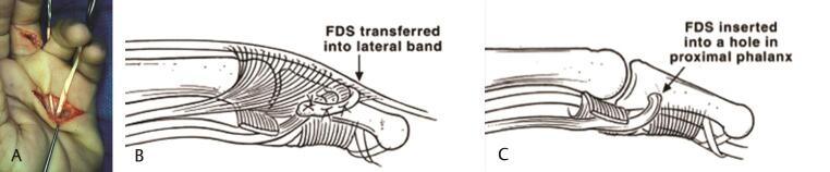 Fig. 5﻿