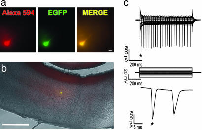 Fig. 4.