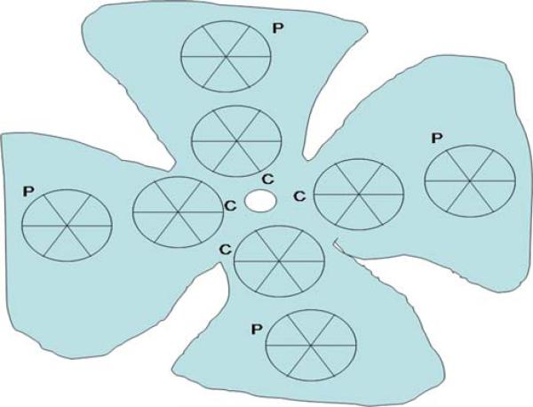 Fig. 1