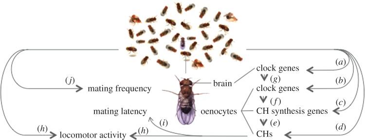 Figure 1.