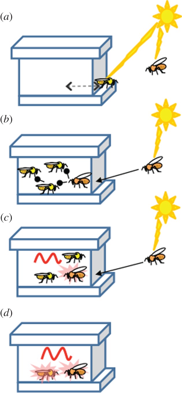 Figure 2.