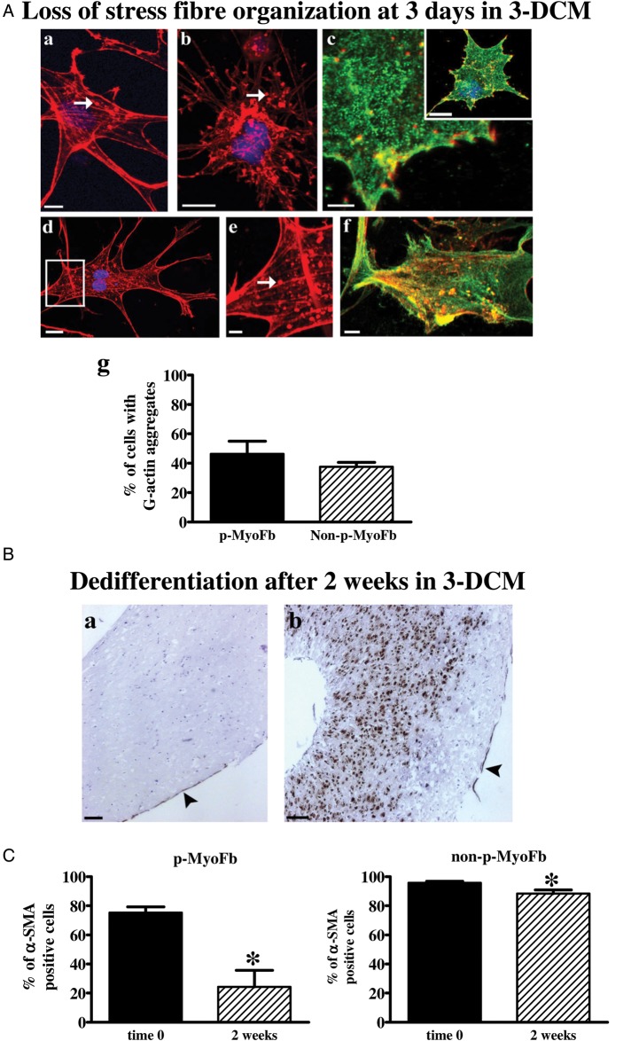 Figure 6